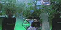 martha and snoop GIF by VH1