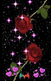 Amigos Flores GIF by Murcianys LLC