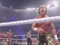 Shawn Michaels Wrestling GIF by WWE