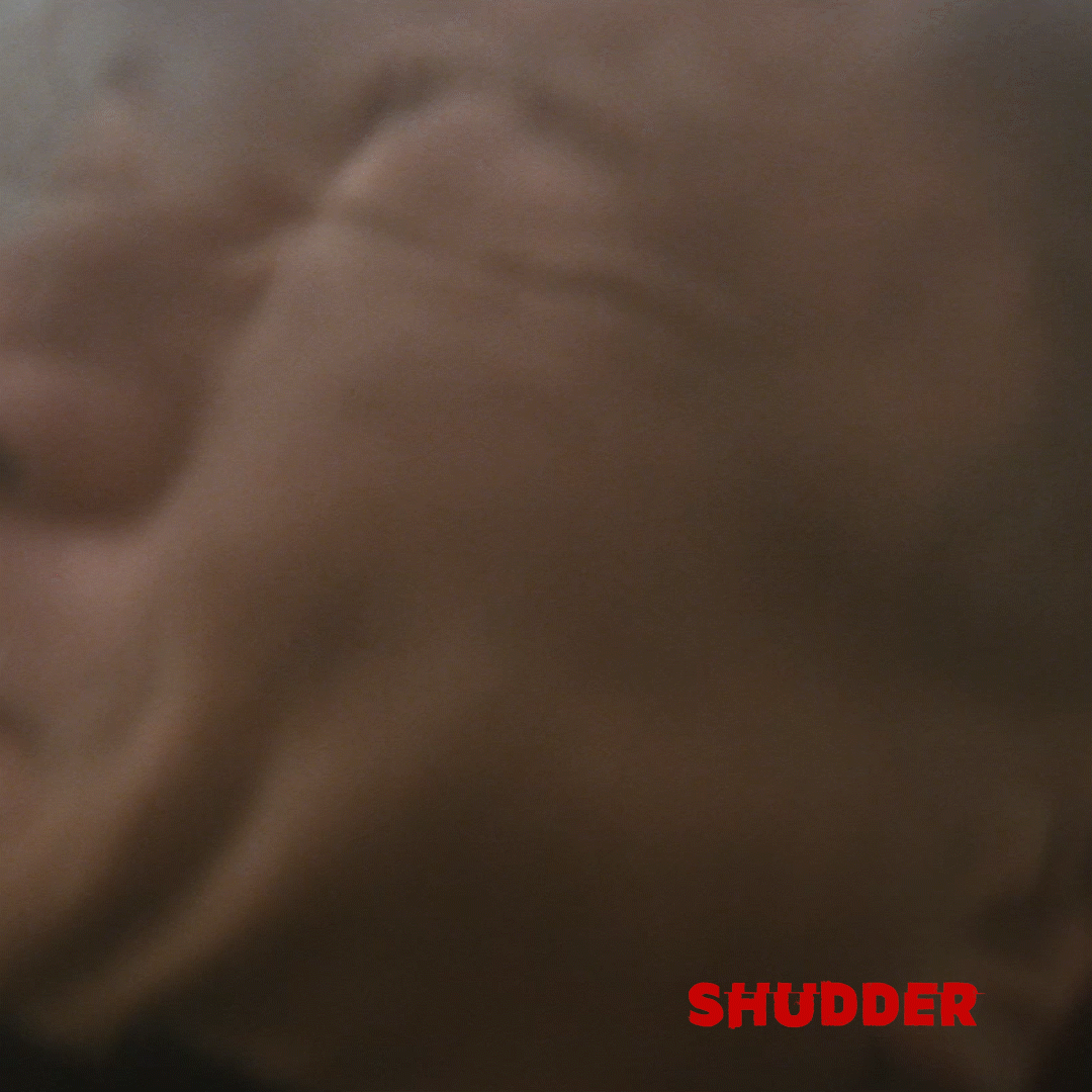 drug war horror GIF by Shudder