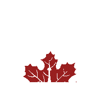 Cn Tower City Sticker by The Toronto Love