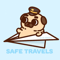 Travel Flying GIF by Puglie Pug