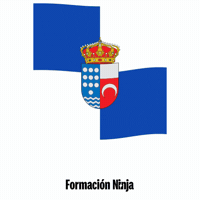 Castilla Y Leon Flag GIF by Formación Ninja