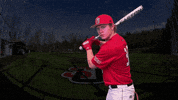 Baseball GIF by Seattle U Redhawks