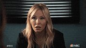 Season 23 What GIF by Law & Order