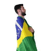 Flag Brazil Sticker by Aluron CMC Warta Zawiercie