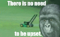 Calm Down Keep Your Head Up GIF