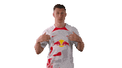 It Wasnt Me Willi Orban Sticker by RB Leipzig