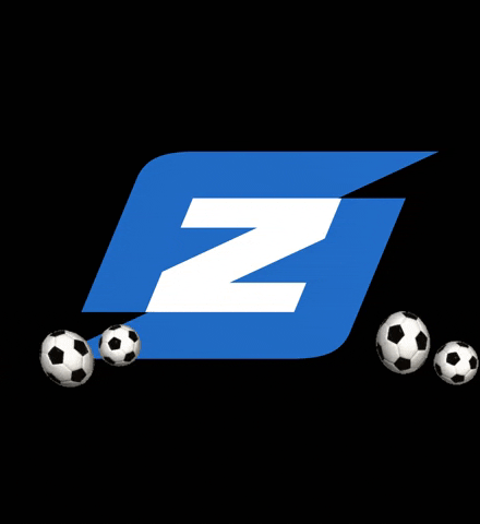 Fanzonepro giphygifmaker giphyattribution football fans GIF