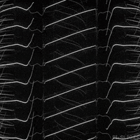 black and white wave GIF by Pi-Slices
