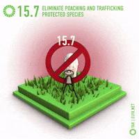 Yak Global Goals GIF by ELYX