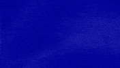 Celebrityjeopardy GIF by Jeopardy!