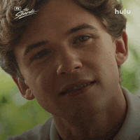 Hulu Smiling GIF by FX Networks