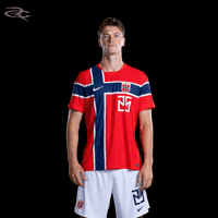 Fifa World Cup Uefa GIF by Respective
