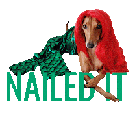 Trick Or Treat Dog Sticker