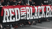 wswanderersfc reaction football rbb wanderers GIF