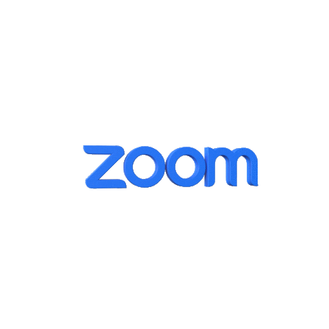 Zoom Meeting Sticker by Zoom
