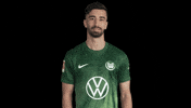 Bundesliga No GIF by VfL Wolfsburg