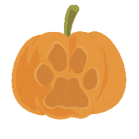 Jack-O-Lantern Pumpkin Sticker by Montana State University