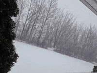 'Roads Are Impassable': Snowfall Blankets New Brunswick