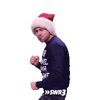 Bye Bye Christmas Sticker by SWR3