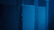 Junkyard Dog Wrestling GIF by DARK SIDE OF THE RING