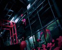 Music Video GIF