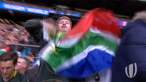 South Africa Flag GIF by World Rugby