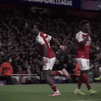 Timber GIF by memes