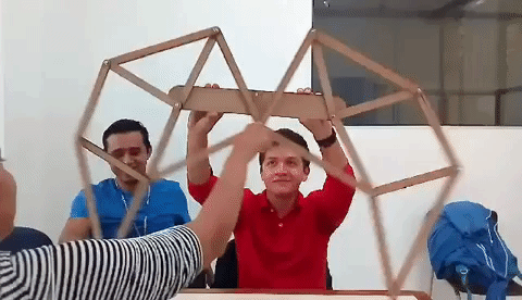 theo jansen GIF