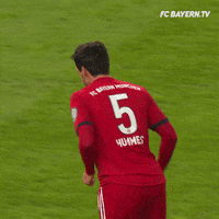 champions league what GIF by FC Bayern Munich