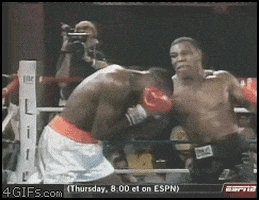 Promountings  GIF