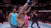Mixed Martial Arts Sport GIF by UFC