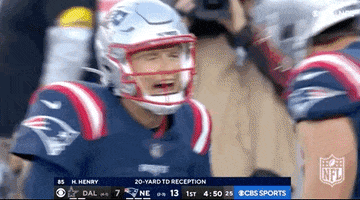New England Patriots Football GIF by NFL