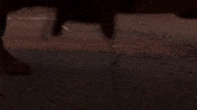 Too Late Running GIF by The Parish