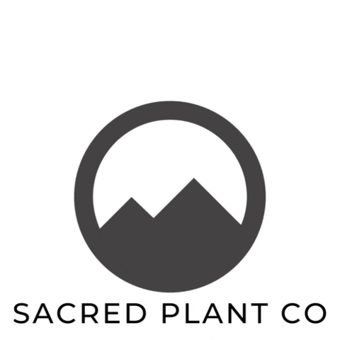 Plant Growing Grow GIF by SacredPlantCO