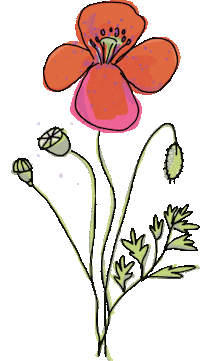 Summer Flower Sticker by krima&isa