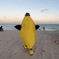 Summer Running GIF by Pudgy Penguins