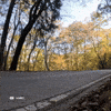 Fast Car GIF by FIA World Rally Championship