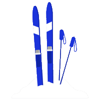 Winter Ski Sticker by Sports Experts