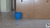 Mop GIF