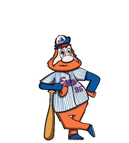 Montreal Expos Hockey Sticker by mackelangelo