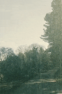 GIF by Leurinkmode