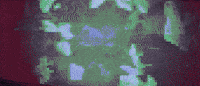 Zzz Seed GIF