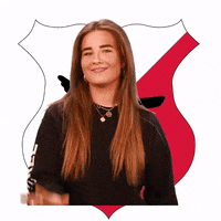 Rocmondriaan craeyenhoutma1 GIF