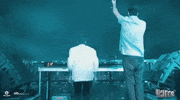 GIF by Disco Donnie Presents