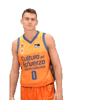 Listen Liga Endesa Sticker by ACB