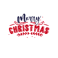 Appunitechristmas Sticker by appunite