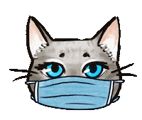 thecatterycatshelter cat cats kitty mask Sticker