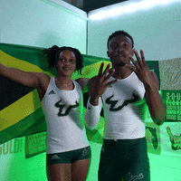 South Florida Horns Up GIF by USF Athletics